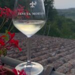 Picnic in the countryside in the heart of Chianti - The Review Highlight: A Highly Praised Picnic Experience