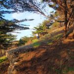 Pico do Facho Panoramic Trail - Meeting Point, Timing, and Logistics