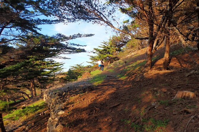 Pico do Facho Panoramic Trail - Meeting Point, Timing, and Logistics