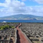 Pico Island: Private Highlights Tour - Meeting Point and Tour Logistics in Lajes do Pico