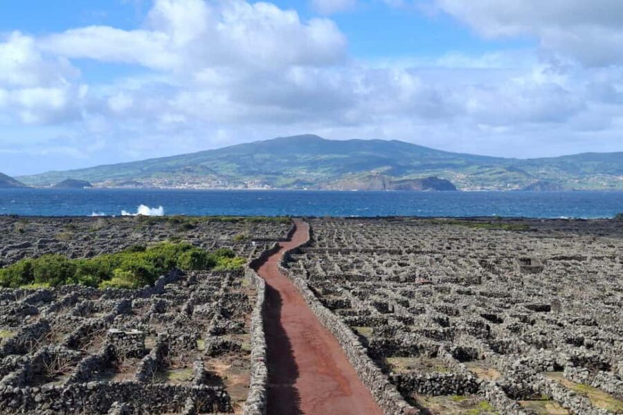 Pico Island: Private Highlights Tour - Meeting Point and Tour Logistics in Lajes do Pico