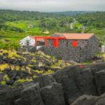 Pico Island: Wine and Vineyards Tour with Tasting - Exploring the UNESCO-Listed Criação Velha Vineyards