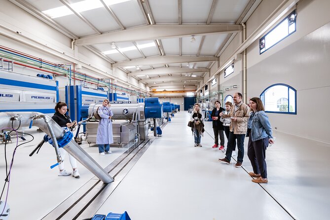 Picualia, visit the oil mill & EVOO tasting - Behind the Scenes at the Modern Oil Mill