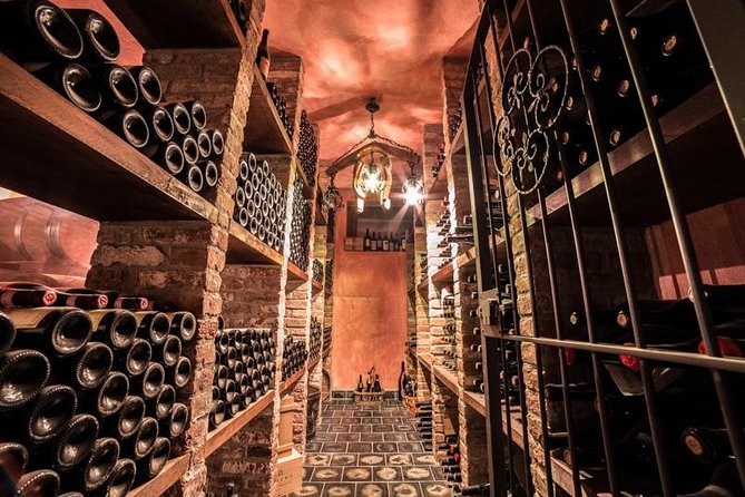 Piedmont Winery Tour: Taste Barolo, Barbaresco & Traditional Food - Inside the Cellar: The Heart of Wine Production