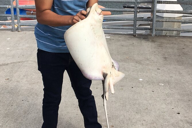 Pier Fishing Tour - San Diego - Meeting Point on Shelter Island