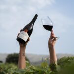 Pinhão: Quinta da Formigosa Vineyard Tour and Wine Tasting - Starting at the Heart of Pinhão: Meeting the Estate