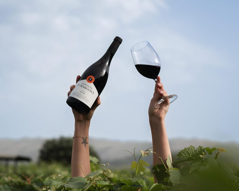 Pinhão: Quinta da Formigosa Vineyard Tour and Wine Tasting - Starting at the Heart of Pinhão: Meeting the Estate