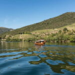 Pinhão: Rabelo Boat Cruise with a Port Tasting at a Winery - Boarding the Traditional Rabelo Boat at Pinhão Quay