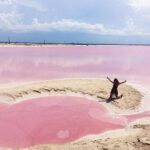 Pink Lake Tour from Las Coloradas with lunch and boat ride - Exploring Ría Lagartos: Mangroves, Birds, and Wildlife