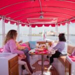 Pink Private Boat Cruise in San Diego! Bachelorette Birthday - The Pink Boat: A Vibrant and Comfortable Experience