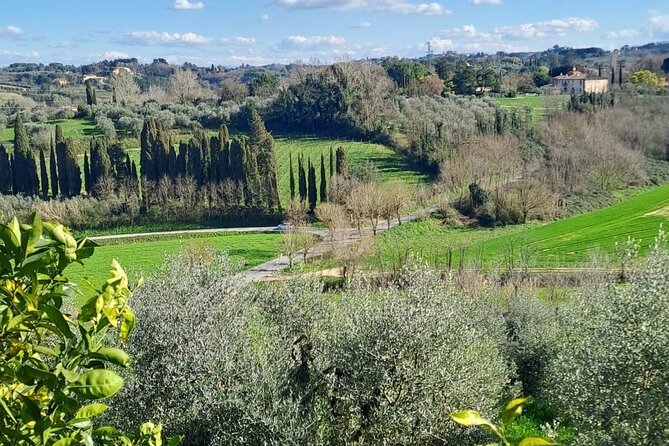 Pisa Tour and Wine Tasting on the Pisan Hills - Discover the Charm of Pisa’s Historic Center at Piazza dei Cavalieri