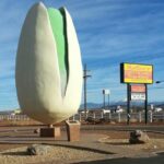 PistachioLand Farm Tour - What Happens During the 30-Minute Shuttle Tour