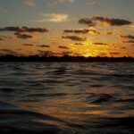 Plantation's Kings Bay Sunset Cruise - Wildlife Viewing: Manatees, Birds, and More