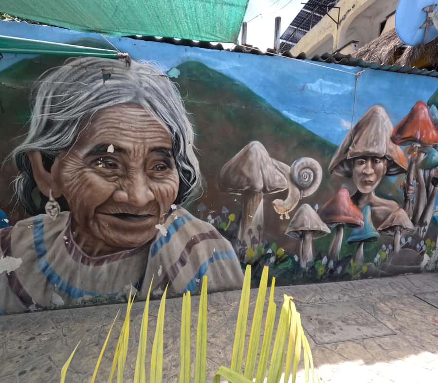 Playa del Carmen: A Sensory Tour Through Mexico's Culinary Memory - Discovering Playa del Carmen’s Cultural Roots at Fundadores Square