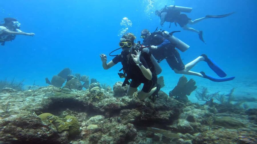 Playa del Carmen: Introductory Scuba Diving at Coral Reefs - Starting Point and Transportation in Playa del Carmen