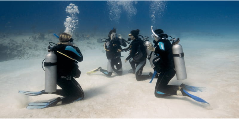 Playa del Carmen: Open Water Diver Course - Highlights of the Underwater Exploration in Playa del Carmen