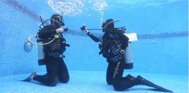 Playa del Carmen: Scuba Diver Certification Course - Meet Your Instructor and Understand the Certification