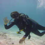 Playa: Dive in Cozumel - Transportation and Meeting Arrangements