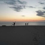 Playa el Cardonal: tour and sandboarding activity in the dunes of Sahuimaro - Discovering the Beach Surrounded by Cardon Cacti