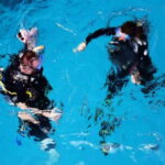 Playa: Scuba Discovery - Starting the Adventure: Pool Practice and Safety Briefing