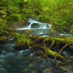 Plitvice Lakes Private Guided Walking Tour - Exploring the Lower Lakes and Waterfalls