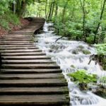 Plitvice Lakes Small Group Tour Ecco from Split or Trogir - Exploring Plitvice Lakes: Wooden Pathways and Waterfalls