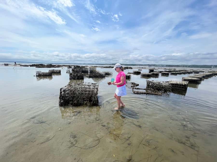 Plymouth: Oyster Farm Boat Tour with Tasting - Meeting Point at Plymouth Town Wharf and Check-In Details