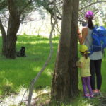 Podgorica Historic, Safari and Winery tour - Skadar lake - Wild Horses at Bisevina Savanna