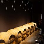 Poggioreale: Organic wine tasting and a tour of the winery - Visiting the Sicilian Organic Winery in Poggioreale