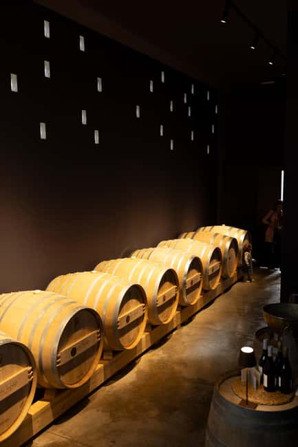 Poggioreale: Organic wine tasting and a tour of the winery - Visiting the Sicilian Organic Winery in Poggioreale