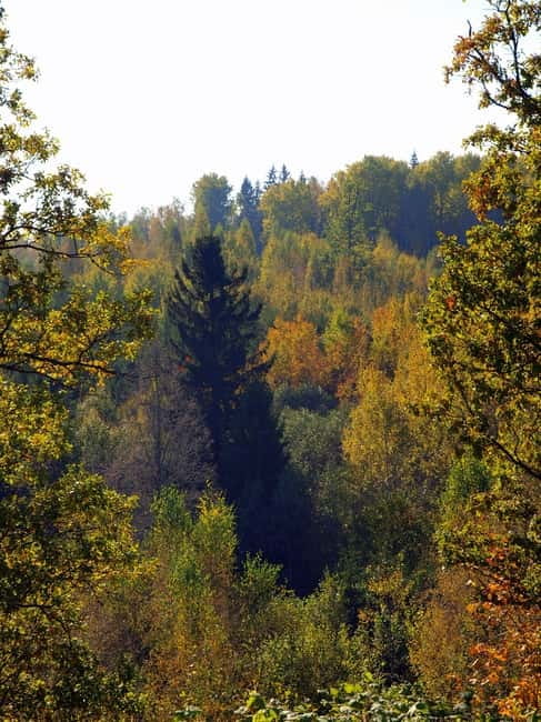 Pokaini stone agglomerates, Dobele castle, children park - Exploring Dobele Castle Ruins and River Views