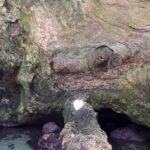 Polignano a Mare luxury boat tour, aperitif, diving and snorkeling - What Makes the Sea Caves of Polignano a Mare Special