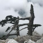 Pollino Hiking - day trips in the Pollino National Park - The Trail to Pollinos Highest Peaks