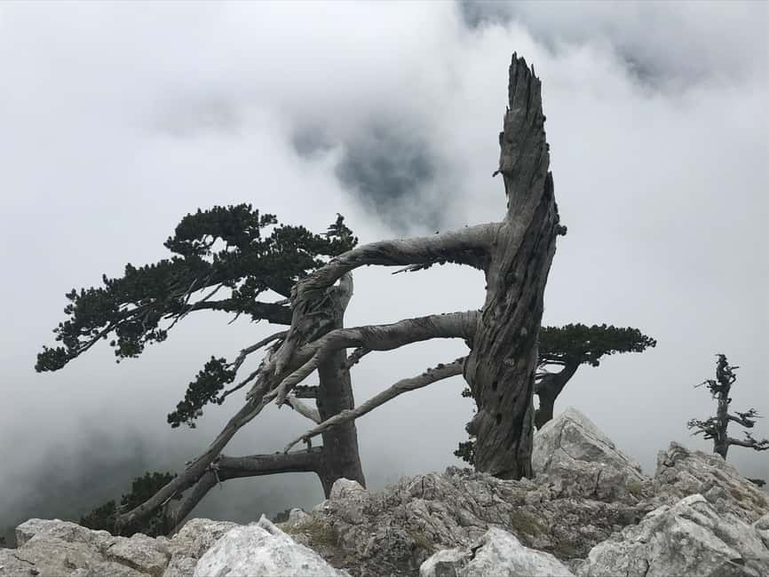 Pollino Hiking - day trips in the Pollino National Park - The Trail to Pollinos Highest Peaks