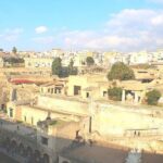 Pompeii and Herculaneum Private Tour with Native Guide and Skip the Line Tickets - The Tour Starts at a Convenient Meeting Point in Pompeii