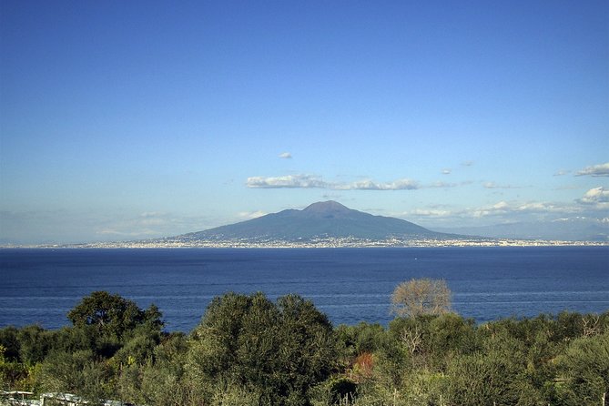 Pompeii, food and Wine - Wine Tasting at Lacrima Cristi Winery