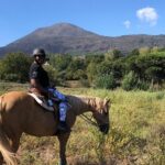 Pompeii Guided Tour & Horse Riding on Vesuvius with Lunch - Horseback Riding through the Vesuvius National Park