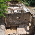 Pompeii Guided Tour & Lunch with Tasting at Two Vesuvian Wineries - Scenic Drive to Mount Vesuvius Wineries