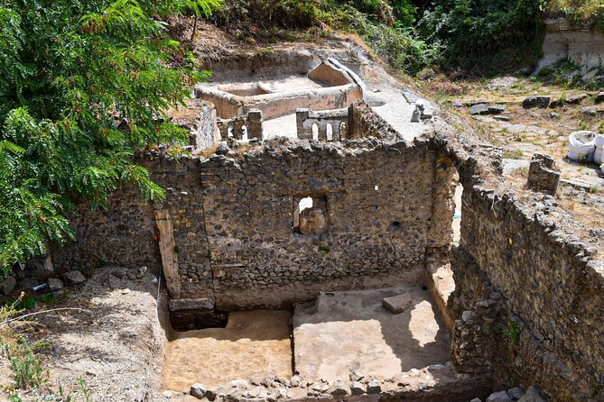 Pompeii Guided Tour & Lunch with Tasting at Two Vesuvian Wineries - Scenic Drive to Mount Vesuvius Wineries