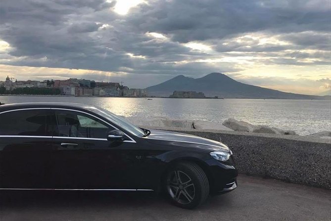 Pompeii - Private Tour from Naples - Starting Point and Logistics in Naples