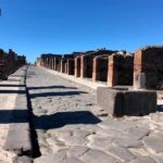 Pompeii private tour with expert guide in archaeology - The Pompeii Archaeological Park: A Treasure Trove of Ancient Life