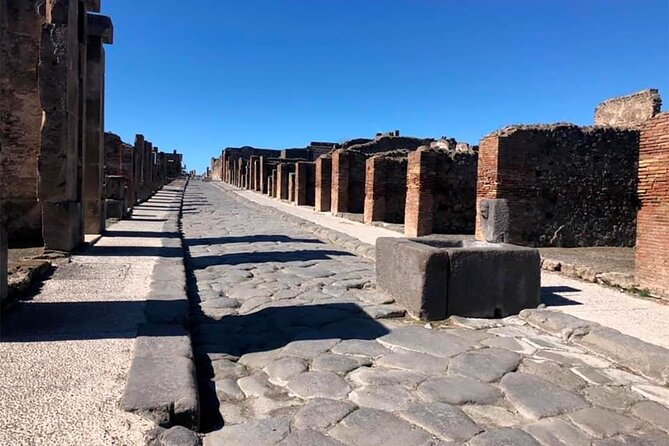 Pompeii private tour with expert guide in archaeology - The Pompeii Archaeological Park: A Treasure Trove of Ancient Life