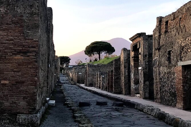 Pompeii Private Tour with expert local guide - Highlights of the Pompeii Archaeological Park
