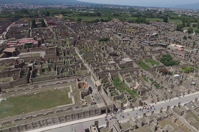 Pompeii Ruins Excursion for 3 hours (round-trip included) - What’s Included in the Tour