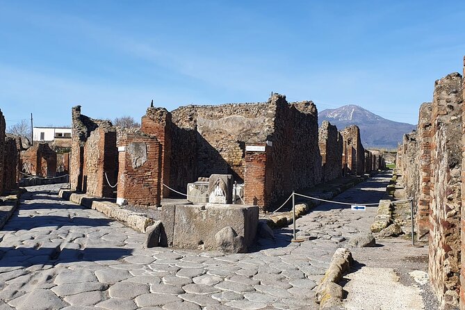 Pompeii Vesuvius Day Tour from Naples with Italian Lunch and Wine - Walking Tour of Mount Vesuvius with a Volcanologist