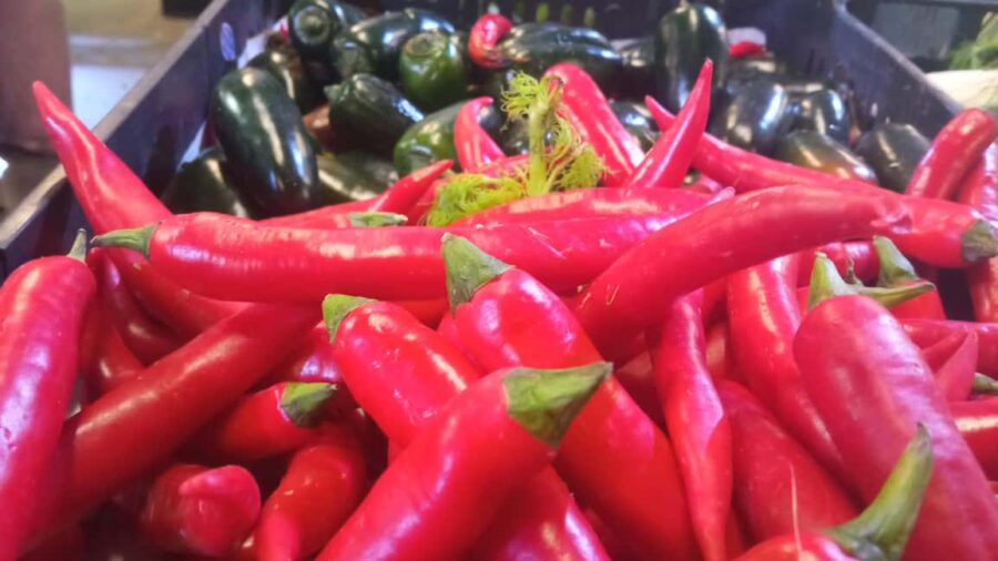 Ponta Delgada: Fat Dolphin Food Tours - Meeting at Multiusos Portas do Mar in Ponta Delgada