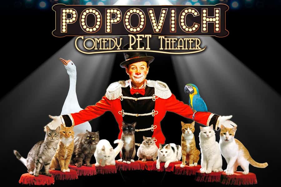 Popovich Comedy Pet Theater in Las Vegas - The Location and Venue for the Show in Las Vegas