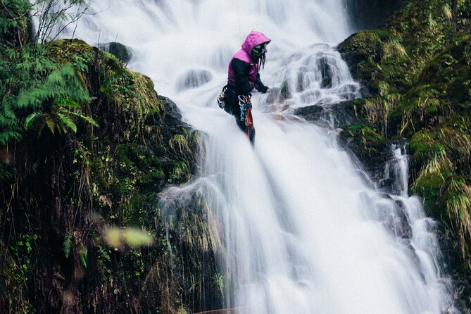 Port Alice Canyoning Activity - What To Expect During the Tour