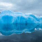 Port Homer Day Tour Wilderness, Wildlife and Beach Experience - Wildlife Viewing in Homer’s Wilderness