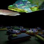 Portland Art Museum Entry Ticket - What’s Included with Your Ticket: Art Collections and Special Exhibitions